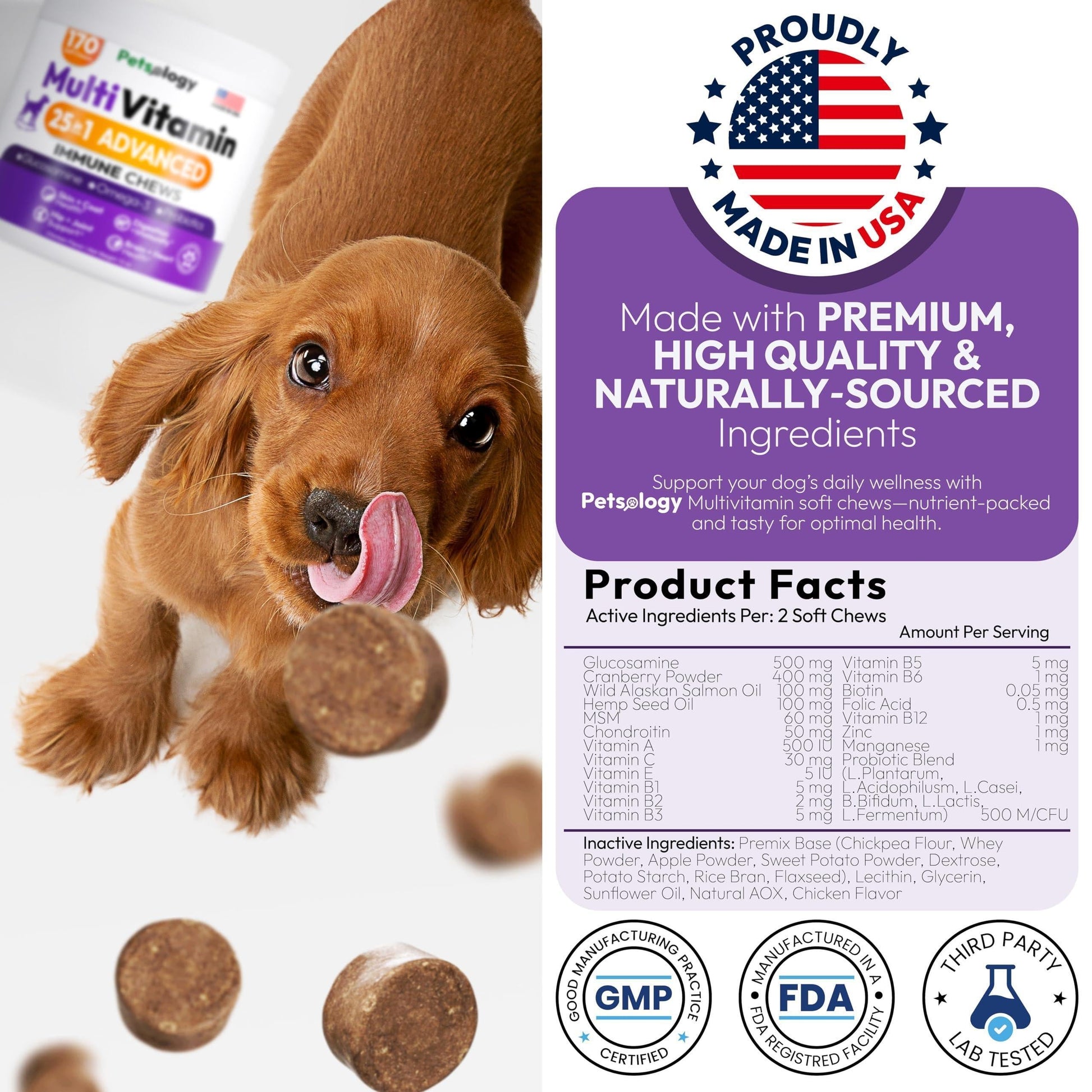 Dog Multivitamin Chewable Supplements with Glucosamine - 170 Chews for Hip Health