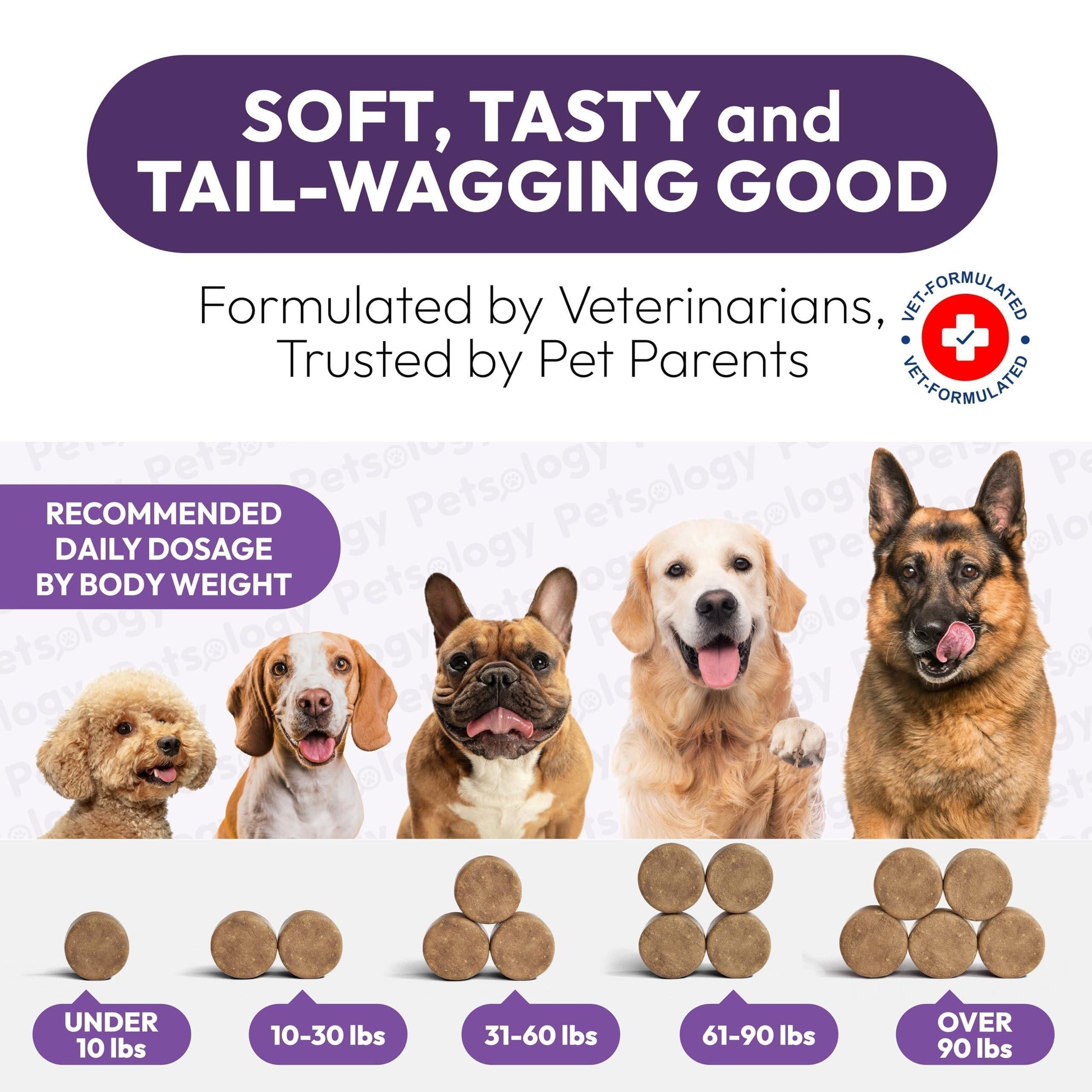 Dog Multivitamin Chewable Supplements with Glucosamine - 170 Chews for Hip Health